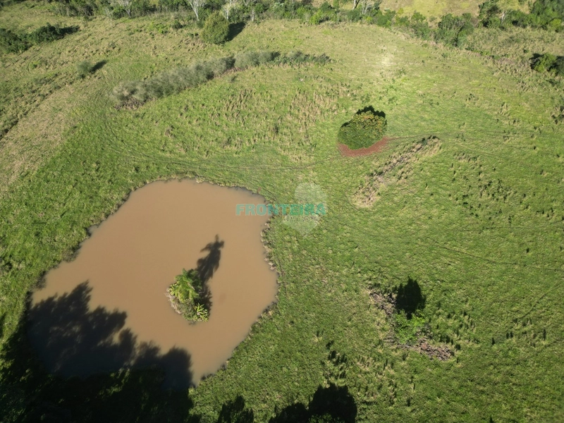 Fazenda Pecuaria de Corte: 11ª foto da galeria de imagens do imóvel