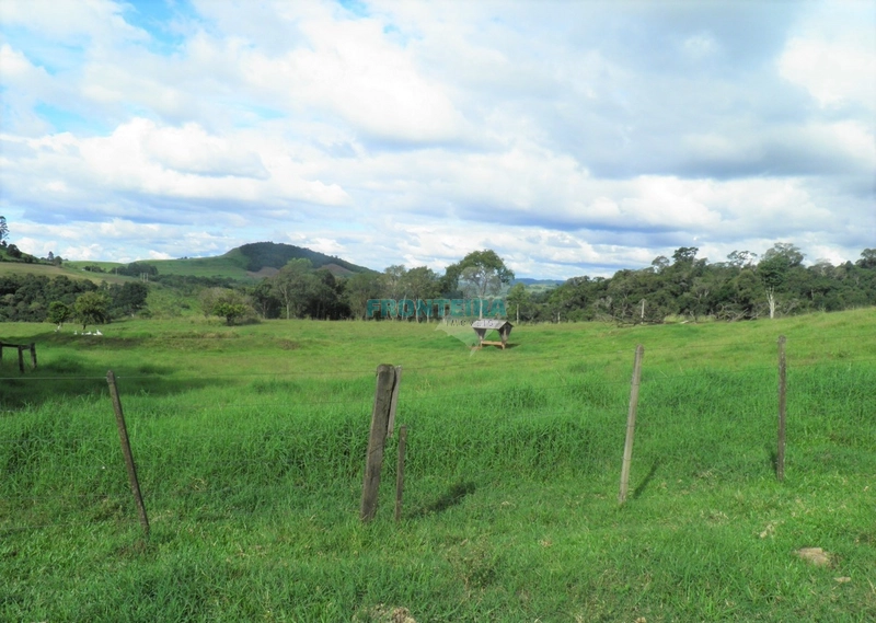 Fazenda Pecuaria de Corte: 3ª foto da galeria de imagens do imóvel