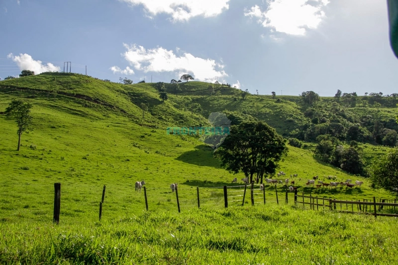 Fazenda Pecuaria de Corte: 17ª foto da galeria de imagens do imóvel