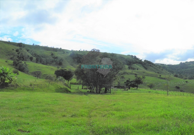 Fazenda Pecuaria de Corte: 7ª foto da galeria de imagens do imóvel