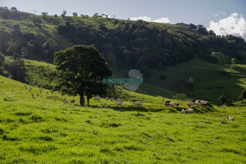 Fazenda Pecuaria de Corte: 18ª foto da galeria de imagens do imóvel