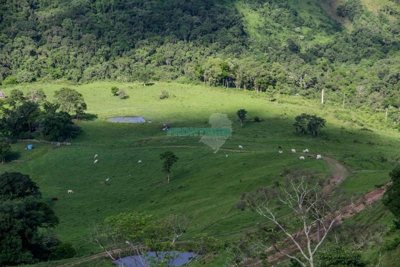 Fazenda Pecuaria de Corte: 22ª foto da galeria de imagens do imóvel