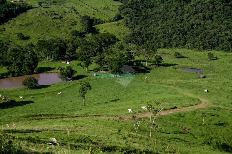 Fazenda Pecuaria de Corte: 20ª foto da galeria de imagens do imóvel