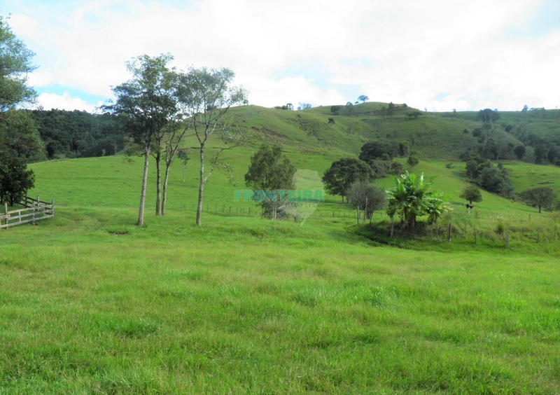 Fazenda Pecuaria de Corte: 8ª foto da galeria de imagens do imóvel