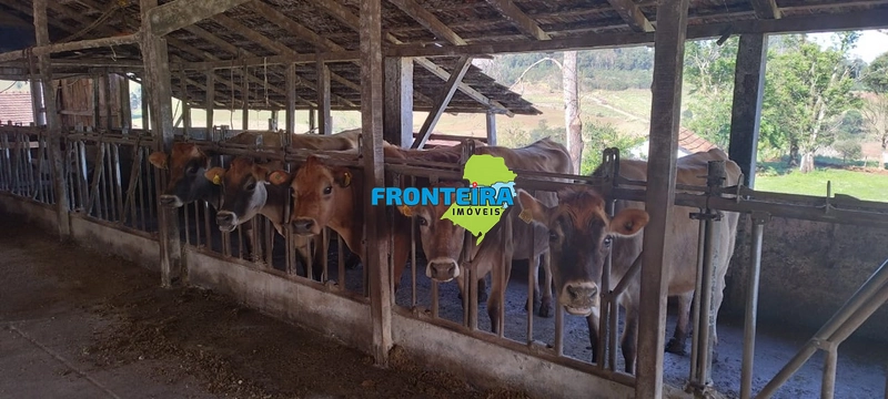Propriedade Rural de Porteira Fechada: 16ª foto da galeria de imagens do imóvel