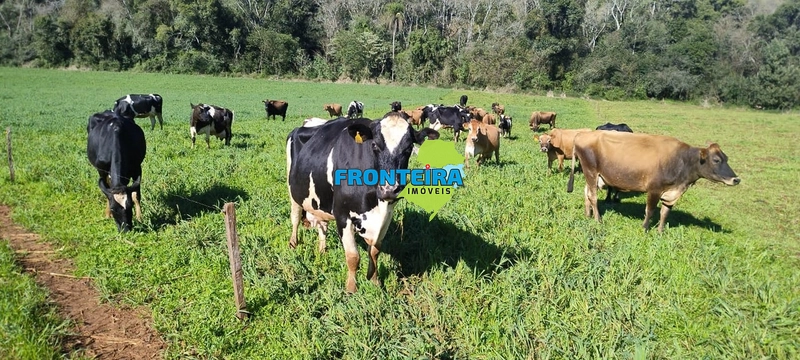 Propriedade Rural de Porteira Fechada: 9ª foto da galeria de imagens do imóvel