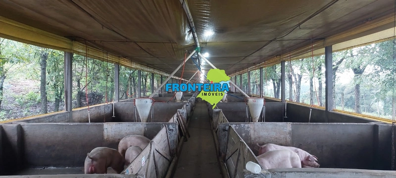 Área Rural com Granja de Suínos: 10ª foto da galeria de imagens do imóvel