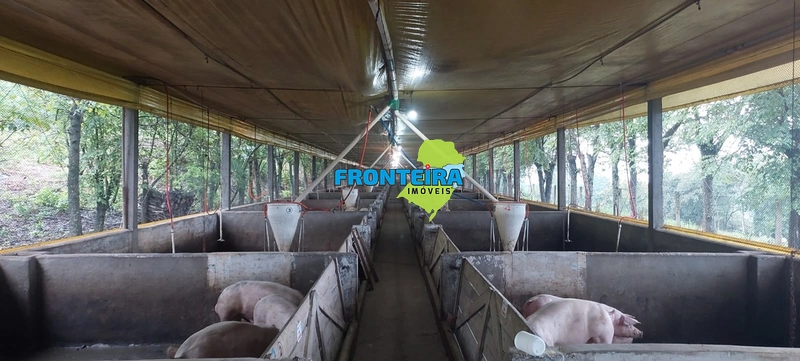 Área Rural com Granja de Suínos: 12ª foto da galeria de imagens do imóvel