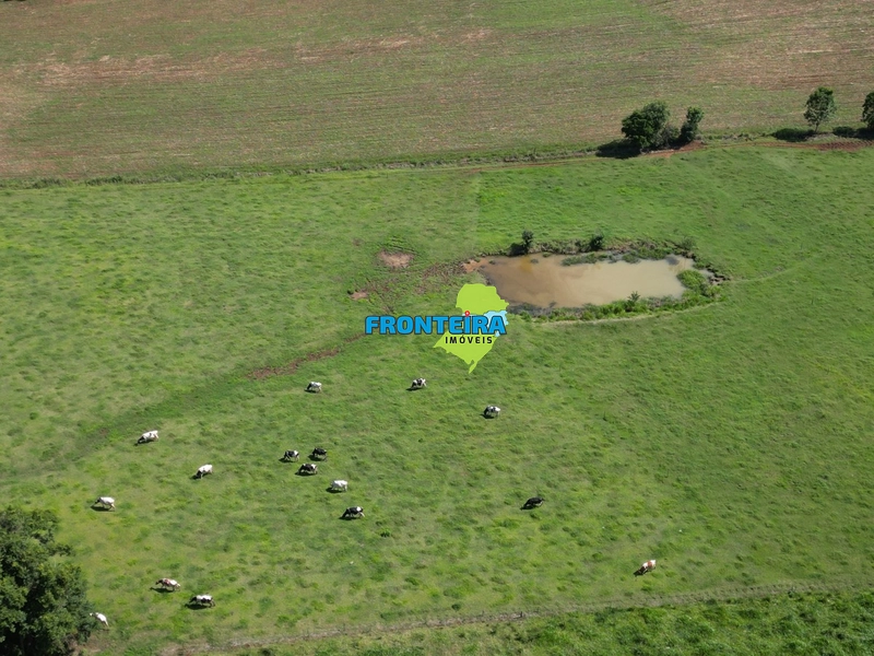 Propriedade Porteira Fechada: 19ª foto da galeria de imagens do imóvel