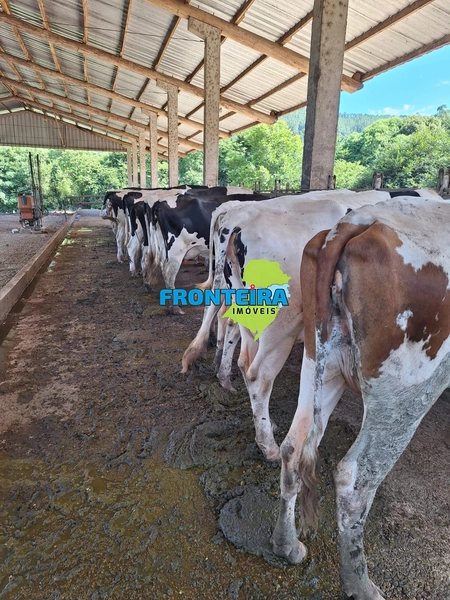 Propriedade Porteira Fechada: 24ª foto da galeria de imagens do imóvel
