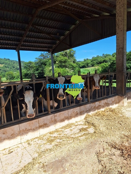 Propriedade Porteira Fechada: 32ª foto da galeria de imagens do imóvel
