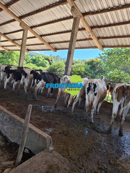 Propriedade Porteira Fechada: 23ª foto da galeria de imagens do imóvel