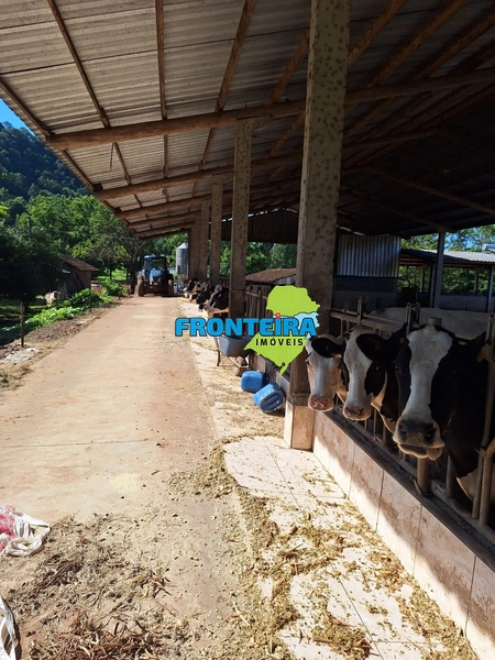 Propriedade Porteira Fechada: 31ª foto da galeria de imagens do imóvel