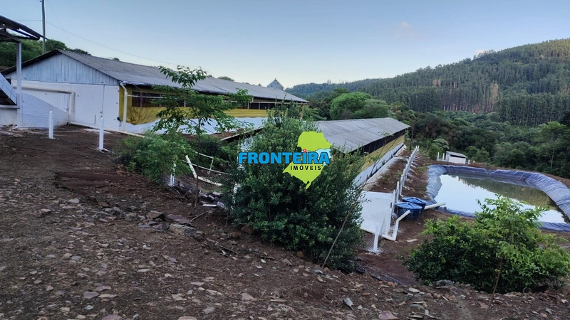 Granja de Suínos: 1ª foto da galeria de imagens do imóvel