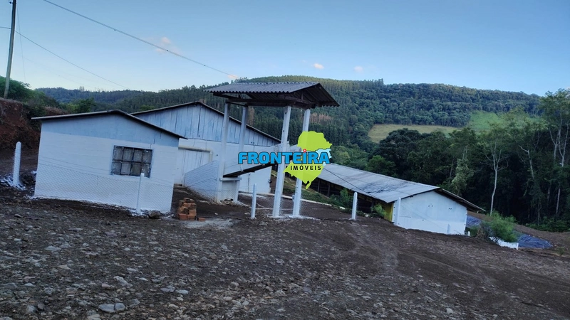 Granja de Suínos: 4ª foto da galeria de imagens do imóvel