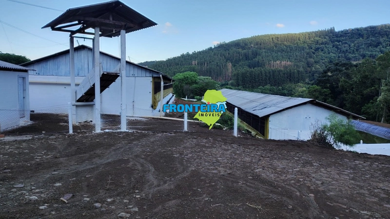 Granja de Suínos: 5ª foto da galeria de imagens do imóvel