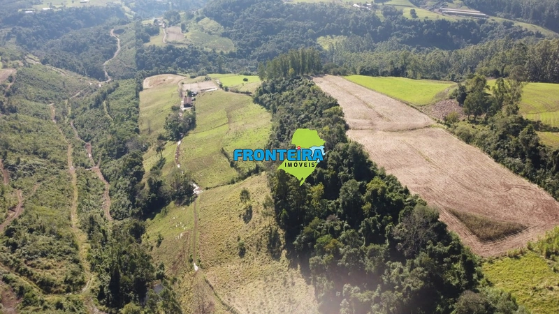ÀREA RURAL - ATIVIDADE LEITEIRA: 14ª foto da galeria de imagens do imóvel