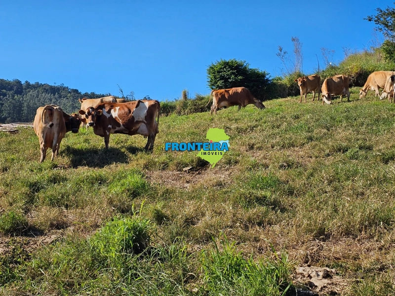 ÀREA RURAL - ATIVIDADE LEITEIRA: 13ª foto da galeria de imagens do imóvel