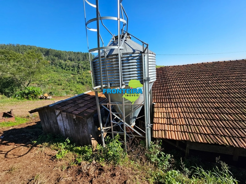 ÀREA RURAL - ATIVIDADE LEITEIRA: 33ª foto da galeria de imagens do imóvel