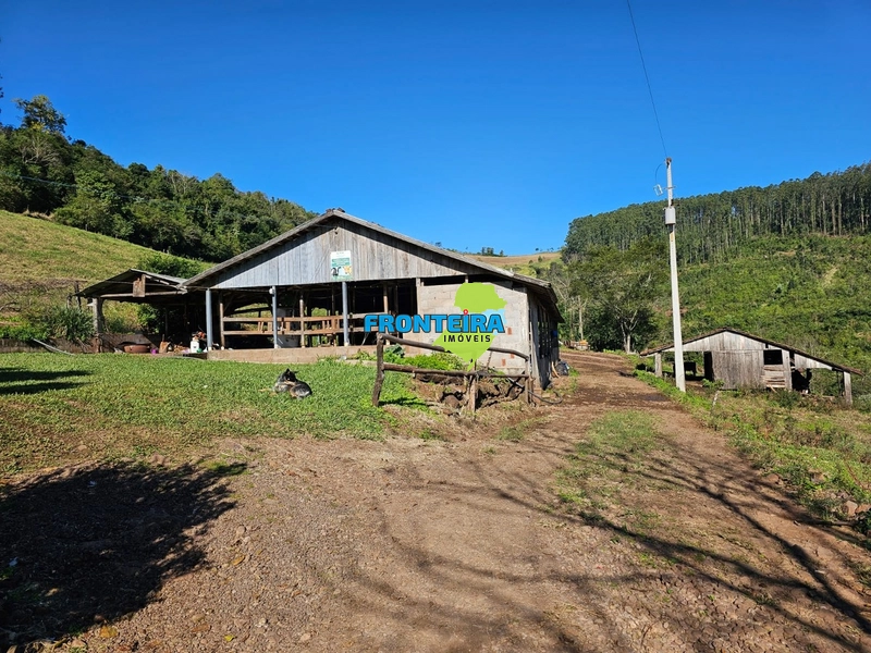 ÀREA RURAL - ATIVIDADE LEITEIRA: 35ª foto da galeria de imagens do imóvel
