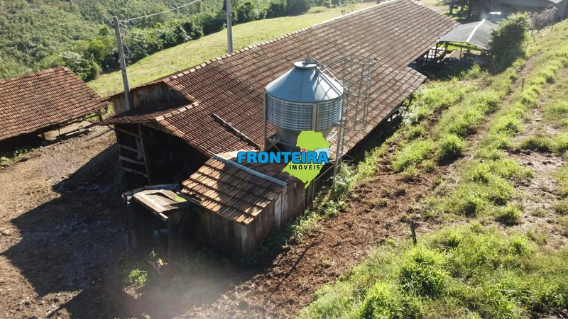 ÀREA RURAL - ATIVIDADE LEITEIRA: 16ª foto da galeria de imagens do imóvel