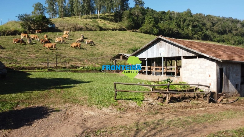 ÀREA RURAL - ATIVIDADE LEITEIRA: 22ª foto da galeria de imagens do imóvel