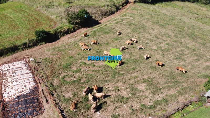 ÀREA RURAL - ATIVIDADE LEITEIRA: 21ª foto da galeria de imagens do imóvel