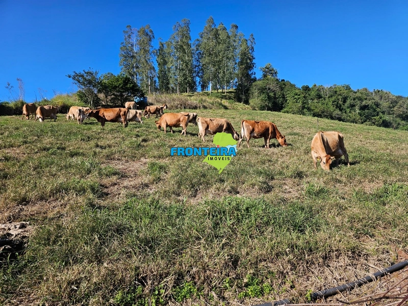 ÀREA RURAL - ATIVIDADE LEITEIRA: 12ª foto da galeria de imagens do imóvel