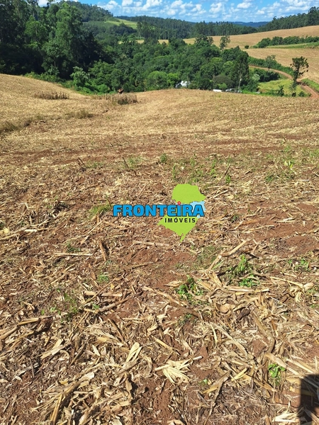 Propriedade Rural: 8ª foto da galeria de imagens do imóvel