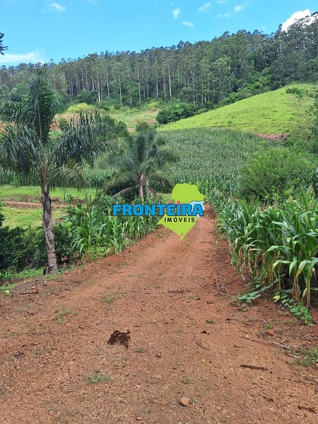 Propriedade Rural: 11ª foto da galeria de imagens do imóvel