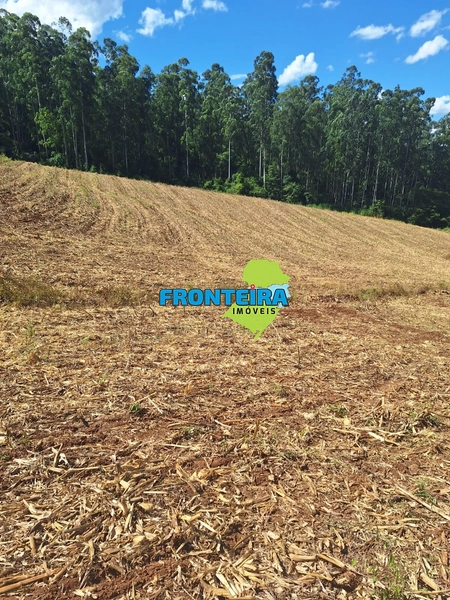 Propriedade Rural: 10ª foto da galeria de imagens do imóvel