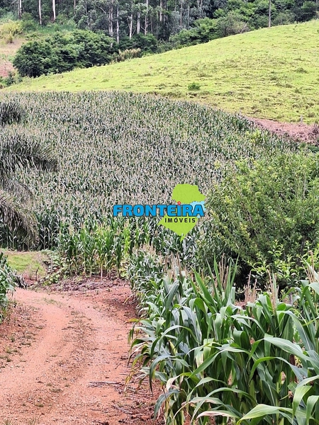 Propriedade Rural: 4ª foto da galeria de imagens do imóvel