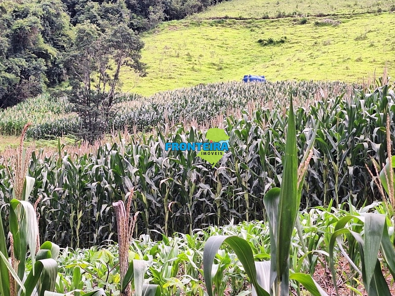 Propriedade Rural: 2ª foto da galeria de imagens do imóvel