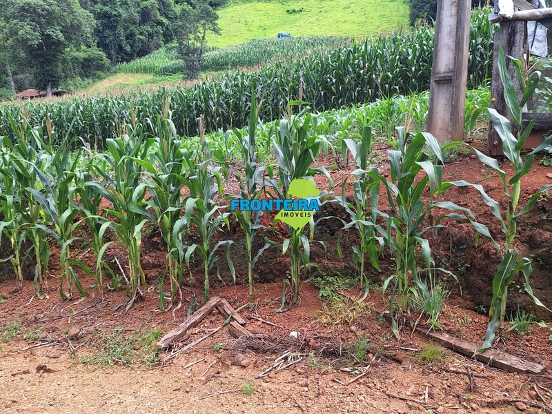 Propriedade Rural: 3ª foto da galeria de imagens do imóvel