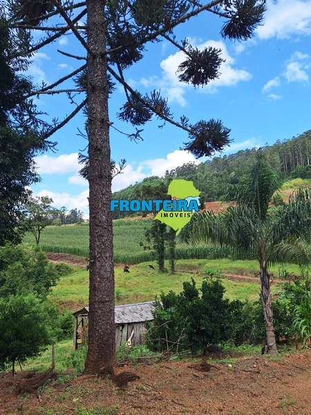 Propriedade Rural: 1ª foto da galeria de imagens do imóvel