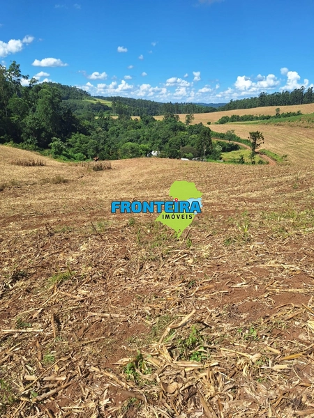 Propriedade Rural: 9ª foto da galeria de imagens do imóvel