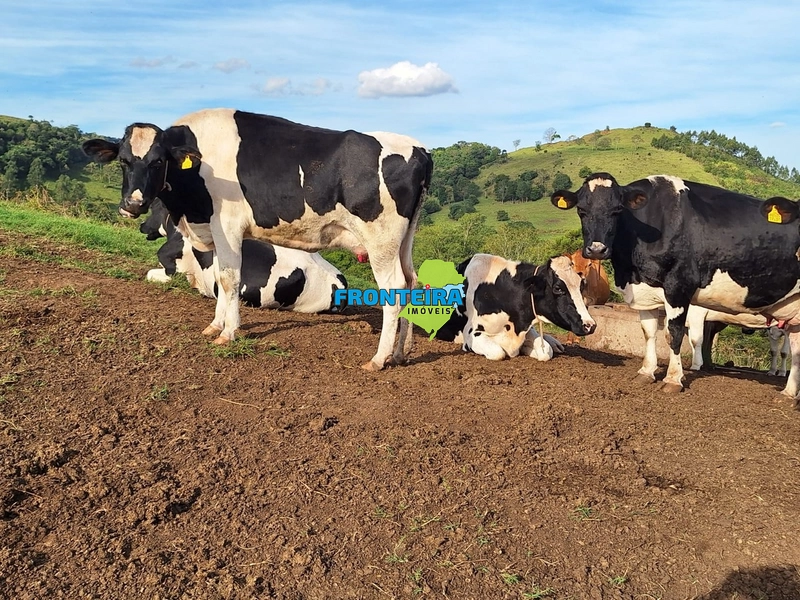 VENDA DE PORTEIRA FECHADA: 16ª foto da galeria de imagens do imóvel