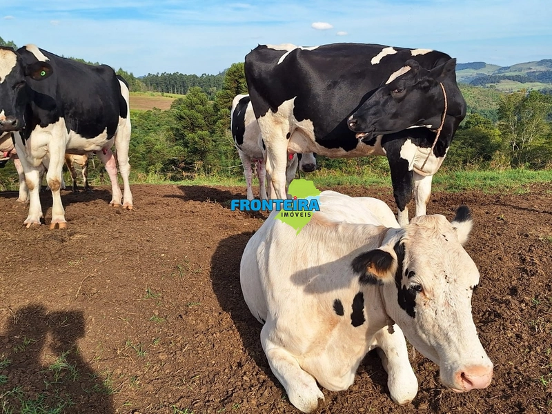 VENDA DE PORTEIRA FECHADA: 12ª foto da galeria de imagens do imóvel