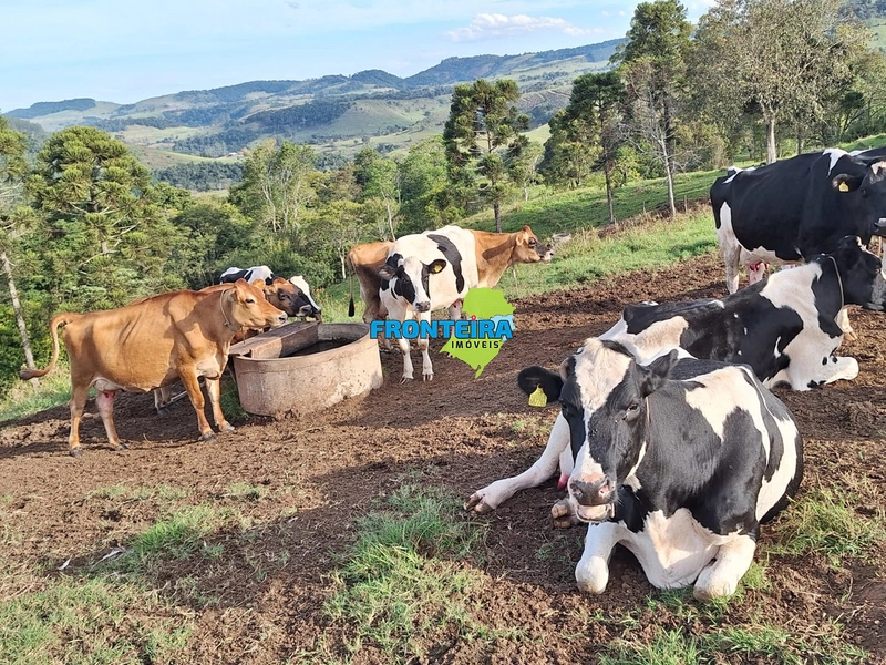 VENDA DE PORTEIRA FECHADA