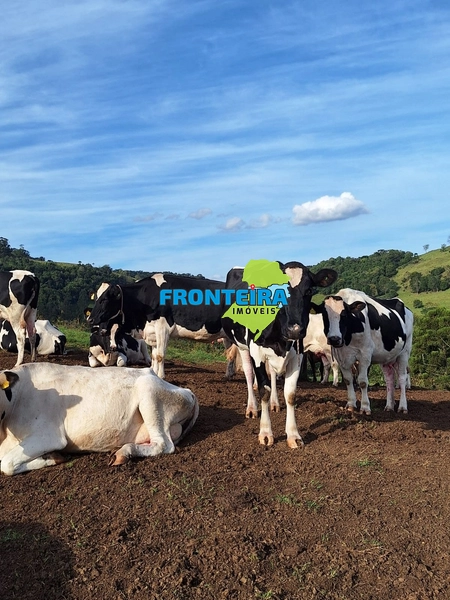 VENDA DE PORTEIRA FECHADA: 15ª foto da galeria de imagens do imóvel