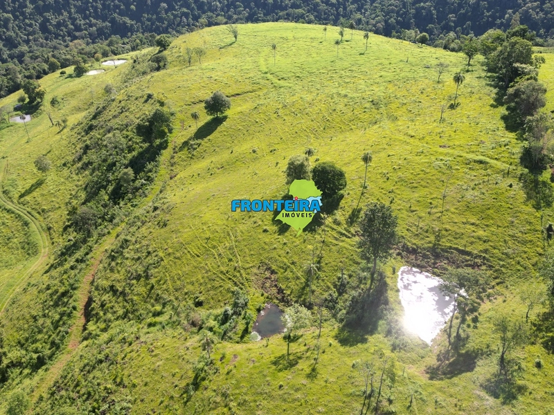 Fazenda Pronta: 26ª foto da galeria de imagens do imóvel