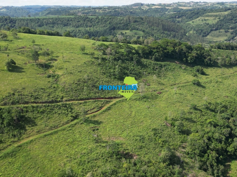 Fazenda Pronta: 17ª foto da galeria de imagens do imóvel