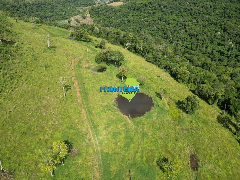 Fazenda Pronta: 13ª foto da galeria de imagens do imóvel