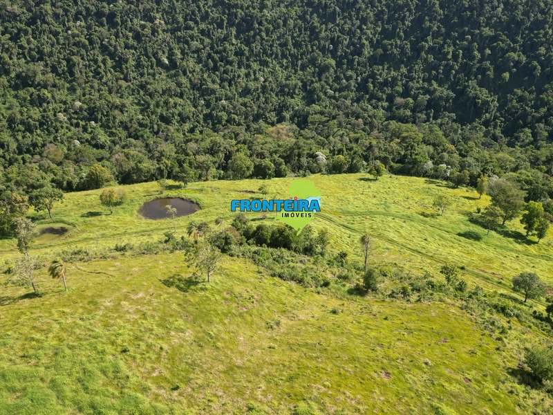 Fazenda Pronta: 21ª foto da galeria de imagens do imóvel