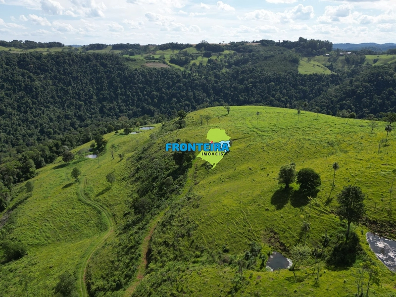 Fazenda Pronta: 18ª foto da galeria de imagens do imóvel