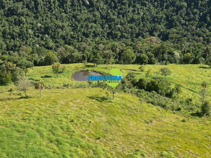 Fazenda Pronta: 25ª foto da galeria de imagens do imóvel