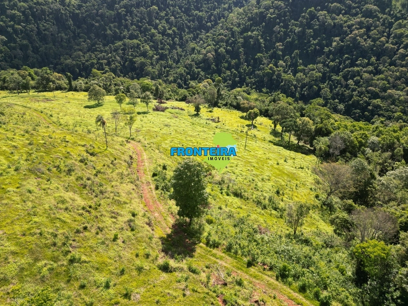 Fazenda Pronta: 22ª foto da galeria de imagens do imóvel