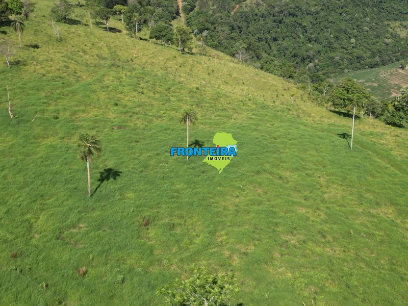 Fazenda Pronta: 24ª foto da galeria de imagens do imóvel