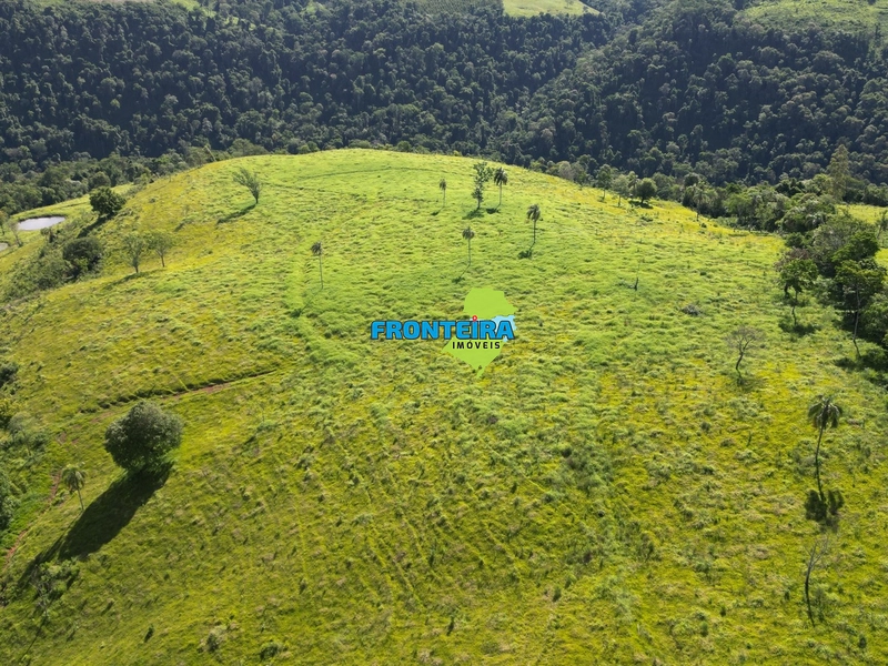 Fazenda Pronta: 27ª foto da galeria de imagens do imóvel