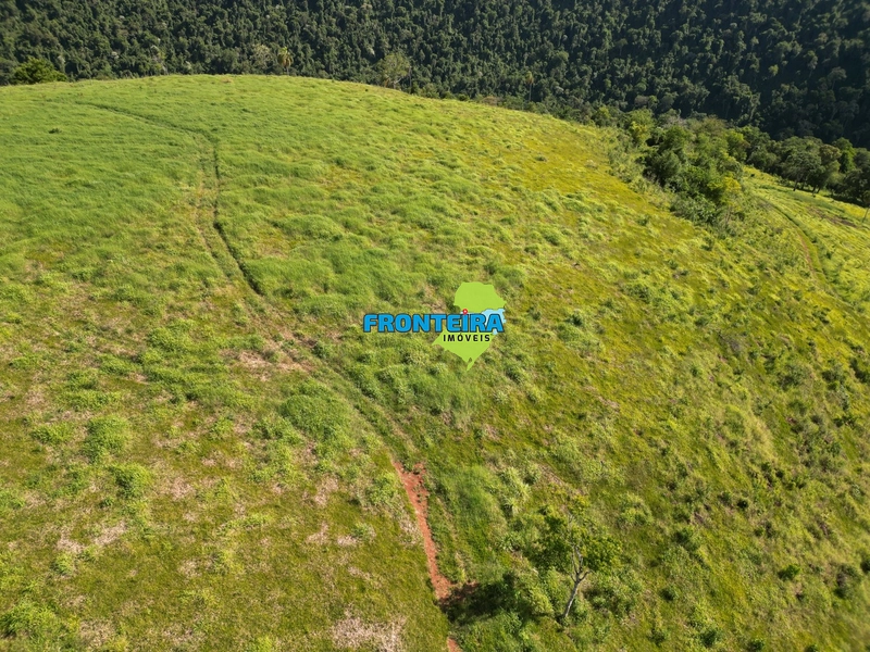 Fazenda Pronta: 23ª foto da galeria de imagens do imóvel